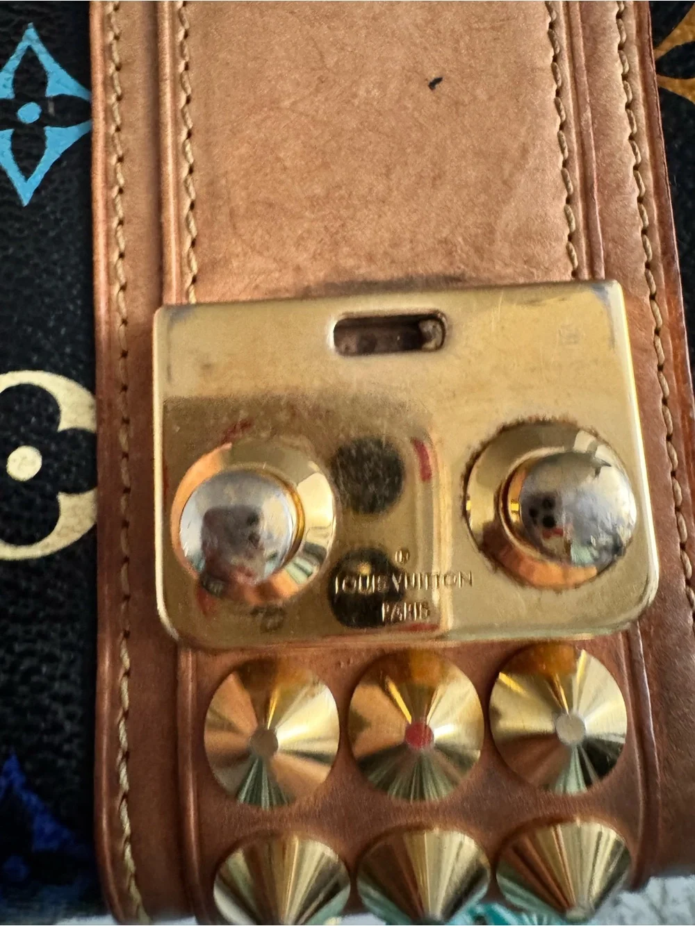 Authentic Louis Vuitton Multicolor Courtney Clutch Bag
